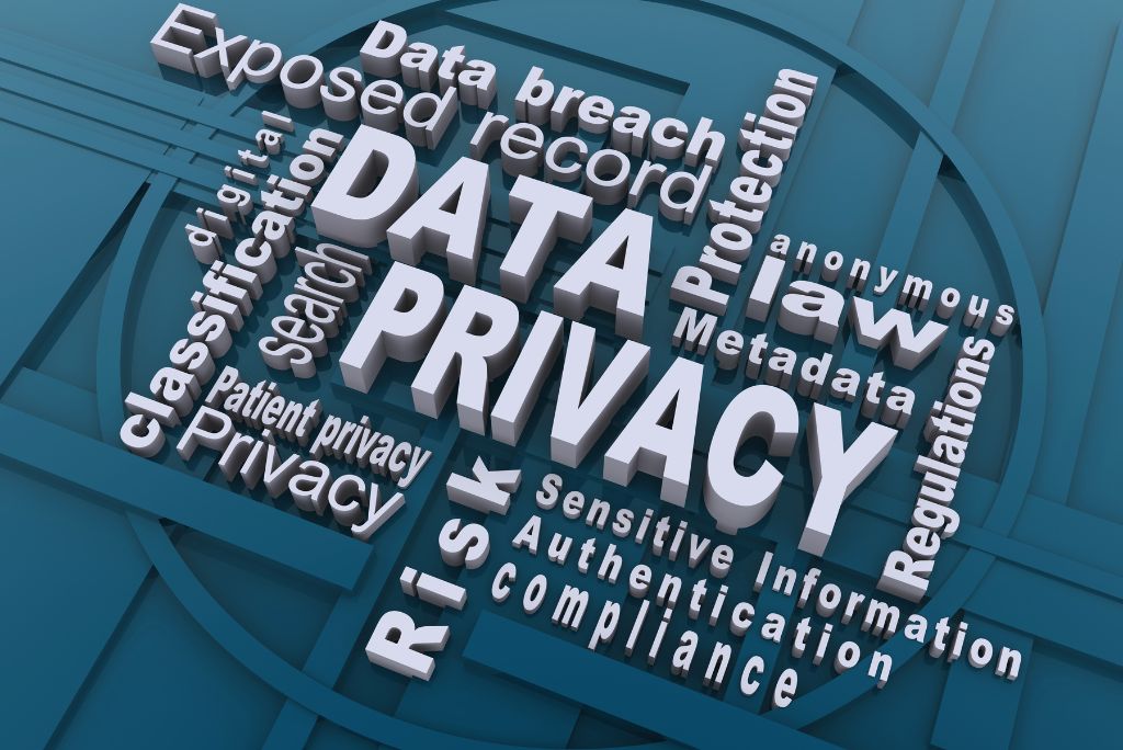 What is National Data Privacy Day?